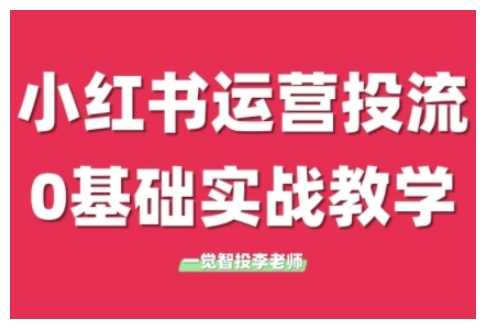 小红书运营投流，小红书广告投放从0到1的实战课，学完即可开始投放-沧海聊项目