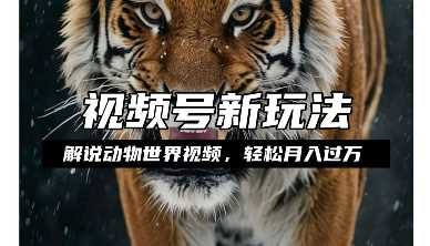 利用动物世界解说视频，赚分成计划收益，轻松月入过W，操作简单【揭秘】-沧海聊项目