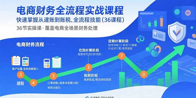 电商财务全流程实战课程：快速掌握从建账到报税的全流程技能(36节课-沧海聊项目