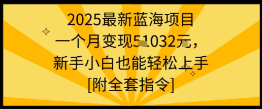 2025最新蓝海项目一个月变现1w+新手小白也能轻松上手【附全套指令】-沧海聊项目