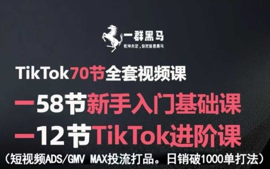TikTok全套视频课，新手入门+进阶课，短视频ADS-GMV MAX投流打品，日销破1000单打法-沧海聊项目