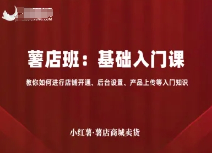 小红薯薯店商城卖货，基础入门课，教你如何进行店铺开通、后台设置、产品上传等入门知识-沧海聊项目