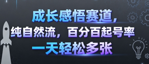 成长感悟赛道，纯自然流，百分百起号率 一天轻松多张-沧海聊项目