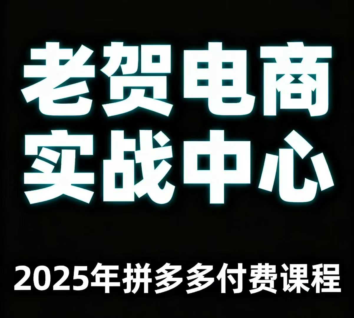 老贺电商2025年拼多多付费课程，用通俗易懂的方法告诉你多多怎么玩-沧海聊项目