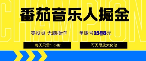 番茄音乐人掘金，单账号最高可撸1k+，可无限矩阵去做，零投入-沧海聊项目