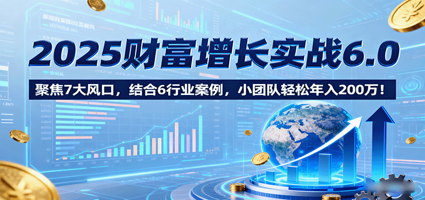2025财富增长实战6.0，聚焦7大风口，结合6行业案例，小团队轻松年入200万！-沧海聊项目