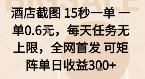 酒店截图15秒一单，一单0.6米，每天任务无上限，全网首发可矩阵单日收益3张【揭秘】-沧海聊项目