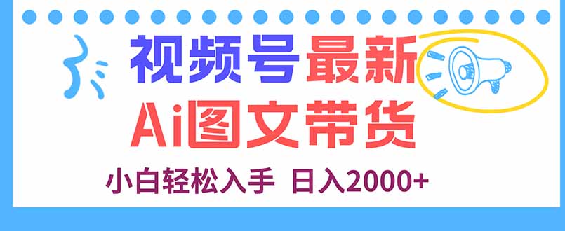 视频号最新AI图文带货，每天几分钟，小白轻松入手，日入2000+-沧海聊项目