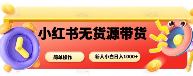 小红书无货源带货项目，简单无脑，新人小白日入多张-沧海聊项目