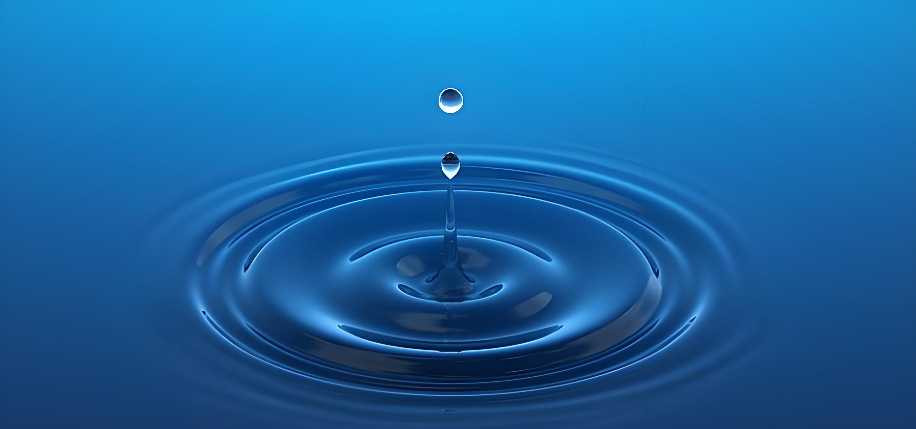 沧海项目资源网