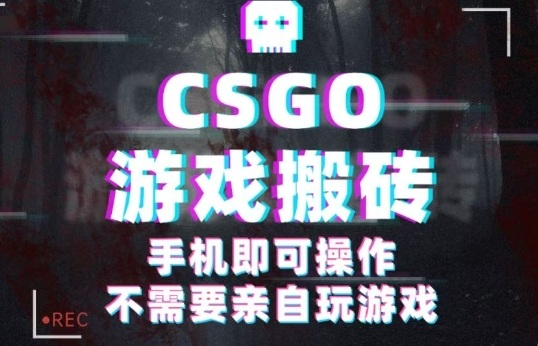 CSGO游戏挂G捡漏，单日扫货5张+，年底小高峰上车可吃肉，手机即可操作，兼职副业创业网创【揭秘】-沧海聊项目