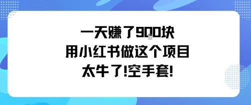 一天挣了9张用小红书做这个项目太牛了，空手套-沧海聊项目
