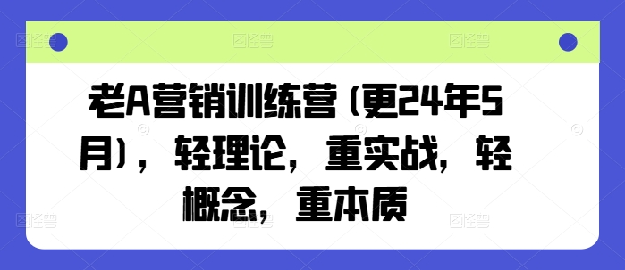 老A营销训练营(更25年10月)，轻理论，重实战，轻概念，重本质-沧海聊项目