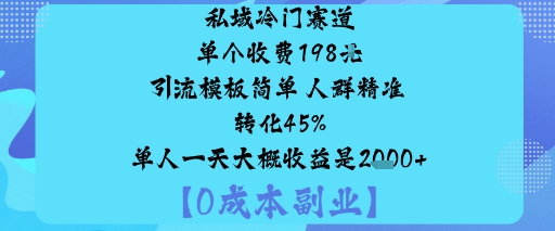 私域冷门赛道:单个收费198米引流模板简单人群精准转化45%单人一天大概收益是1k+-沧海聊项目
