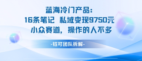 蓝海项目：16条笔记私域变现9750米小众赛道操作的人不多-沧海聊项目