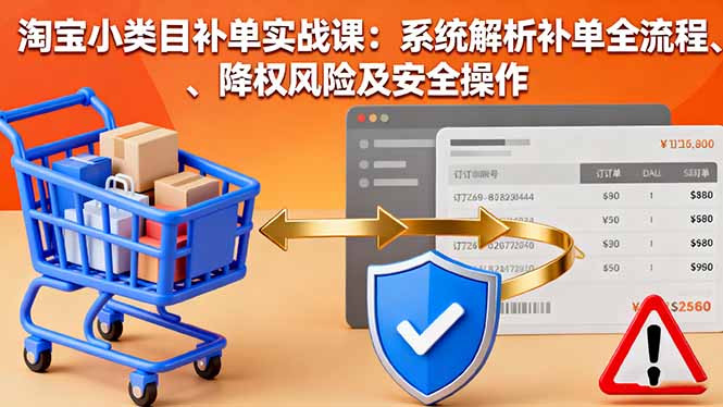 淘宝小类目补单实战课：系统解析补单全流程、降权风险及安全操作-沧海聊项目