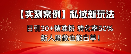 【实测案例】私域新玩法，日引30+精准粉，转化率50%，新人照做也能出单！-沧海聊项目