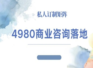 4980商业咨询师落地课程-ip运营高客单教程-沧海聊项目