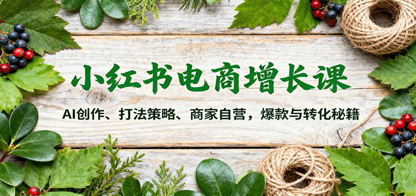 小红书电商增长课：AI创作、打法策略、商家自营，爆款与转化秘籍-沧海聊项目