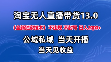 淘宝无人直播13.0，公域私域技术，不封号，不违规布局下半年旺季赛道，日入1K+(独家技术)【揭秘】-沧海聊项目