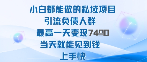 2025年小白都能做的私域项目引流负债人群最高一天变现1k+高变现难度低当天就能见到钱上手快-沧海聊项目