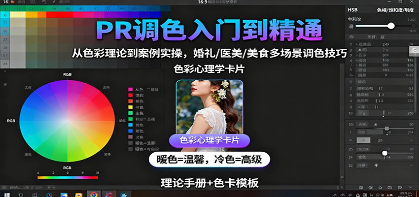 PR调色入门到精通：从色彩理论到案例实操，婚礼/医美/美食多场景调色技巧-沧海聊项目