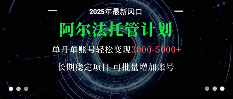 阿尔法托管计划 单账号月入3000-5000，长期稳定项目，新手小白轻松上手。-沧海聊项目