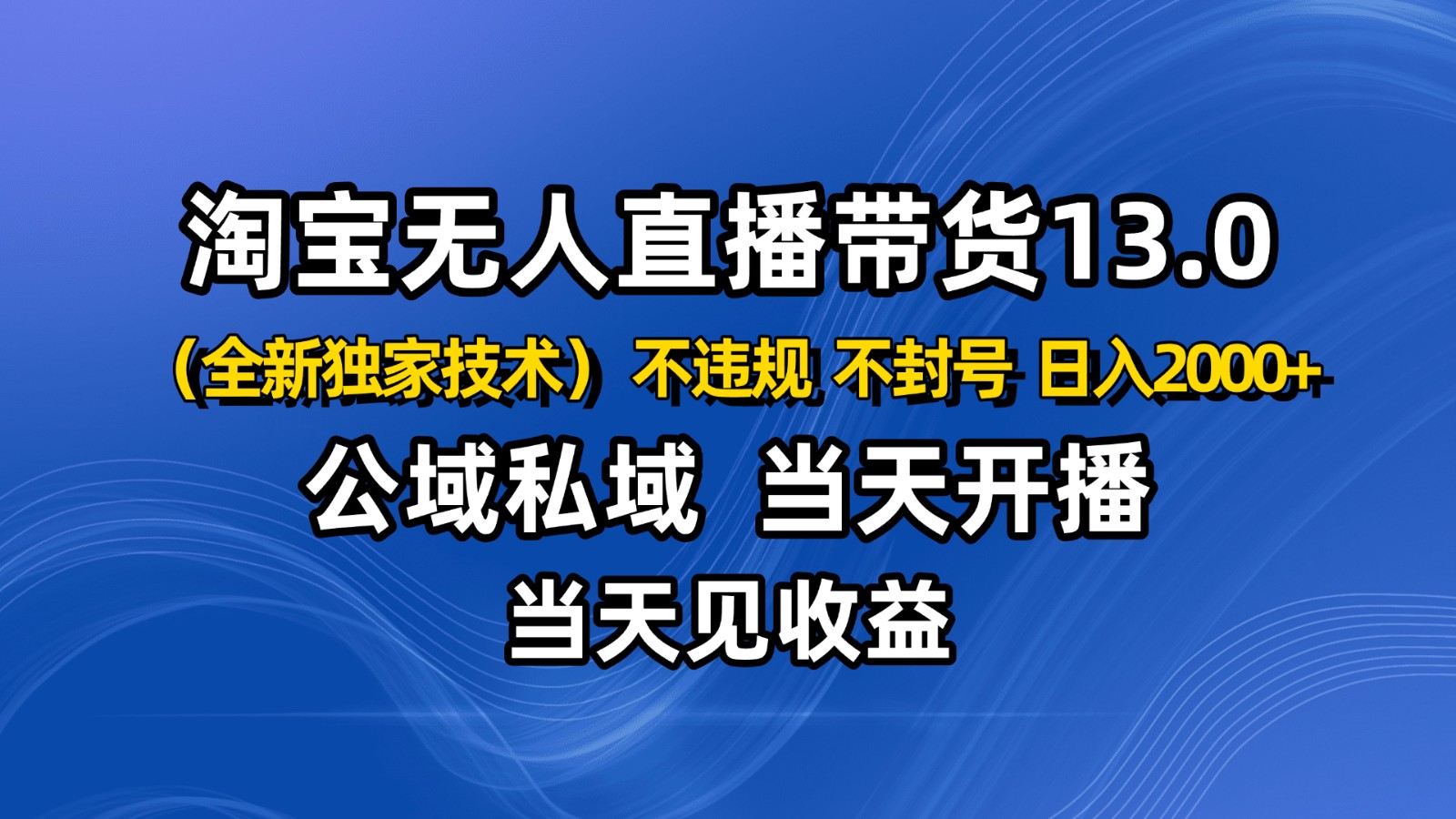 淘宝无人直播13.0，公域私域技术，不封号，不违规 布局下半年旺季赛道，日入2000+-沧海聊项目