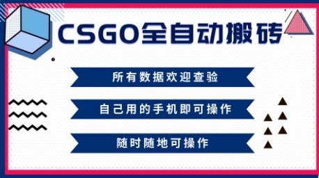 CSGO全自动搬砖，年底钱回家好项目，当天可拿到结果，新手小白轻松月入1W+【揭秘】-沧海聊项目