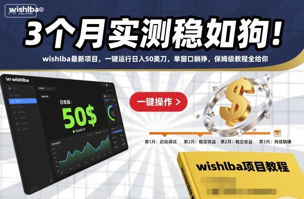 3个月实测稳如狗！wishlba最新项目，一键运行日入50美刀，单窗口躺挣，保姆级教程全给你【揭秘】-沧海聊项目