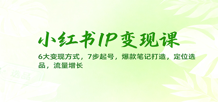 小红书IP变现课：6大变现方式，7步起号，爆款笔记打造，定位选品，流量增长-沧海聊项目