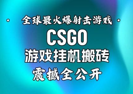 【年底大揭秘】基于全球最火爆的射击CSGO游戏挂G搬砖，日入5张+，震撼公开-沧海聊项目