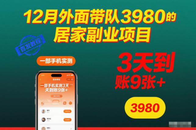12月外面带队3980的居家副业项目，一部手机实测3天到账9张+，首发教程【揭秘】-沧海聊项目