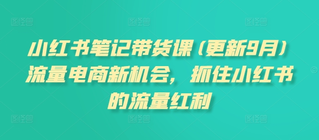 小红书笔记带货课(更新25年12月)流量电商新机会，抓住小红书的流量红利-沧海聊项目