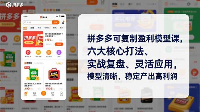 拼多多可复制盈利模型课，六大核心打法、实战复盘、灵活应用，模型清晰，稳定产出高利润-沧海聊项目