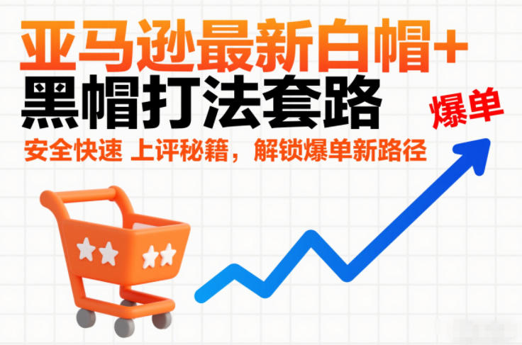 亚马逊最新白帽+黑帽打法套路，安全快速上评秘籍，解锁爆单新路径-沧海聊项目