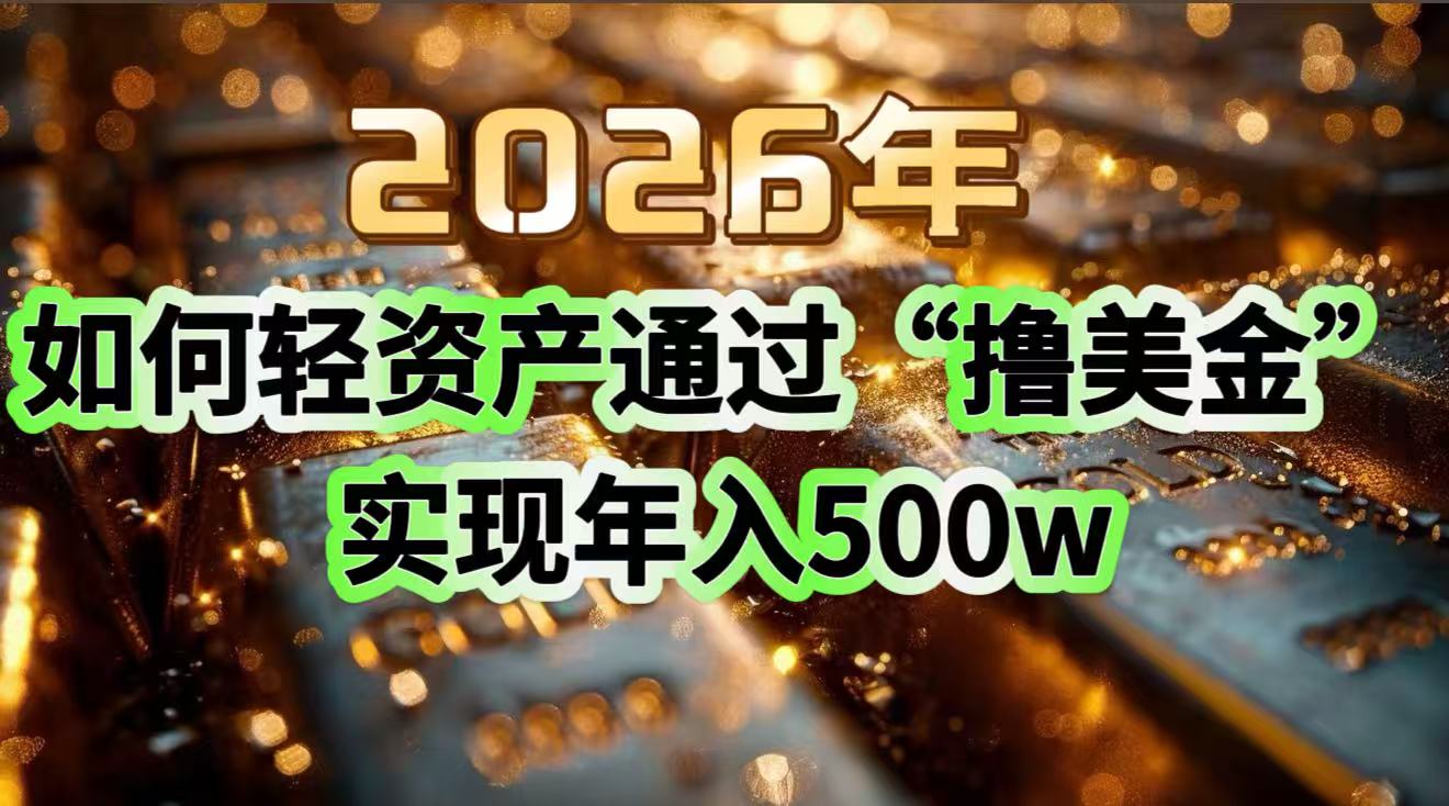 2026年如何轻资产通过“撸美金”实现年入500w-沧海聊项目