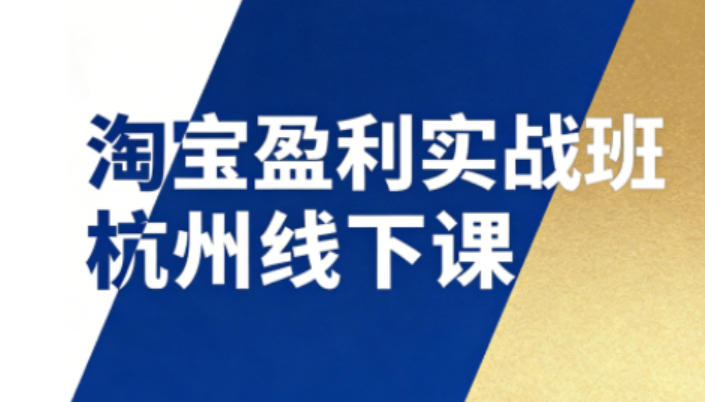 淘宝盈利实战班杭州线下课12月26-28日(音频+字幕)，帮你掌握SOP流程+12门核心技术-沧海聊项目