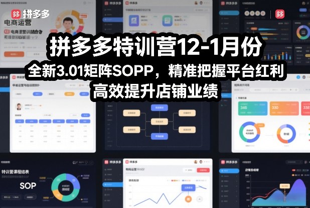 拼多多特训营12-1月份，全新3.01矩阵Sop，精准把握平台红利，高效提升店铺业绩-沧海聊项目
