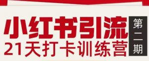 小红书引流21天打卡训练营第二期，助你快速打通小红书私域引流打粉-沧海聊项目