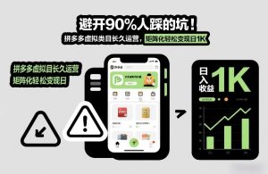 避开90%人踩的坑，拼多多虚拟类目长久运营，矩阵化轻松变现日1K【揭秘】-沧海聊项目