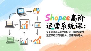 Shopee高阶运营系统课：大量实操演示与逻辑拆解，构建完整的运营思维与落地能力，店铺高效增长-沧海聊项目