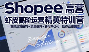 Shopee虾皮高阶运营精英特训营，高阶运营技巧+流量提升+转化率优化，助你业绩翻倍-沧海聊项目