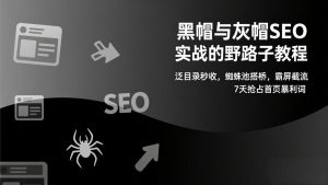黑帽与灰帽SEO实战的野路子教程：泛目录秒收，蜘蛛池搭桥，霸屏截流，7天抢占首页暴利词-沧海聊项目