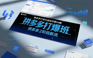 拼多多打爆班原创技术第54期，拼多多2阶段断流-沧海聊项目
