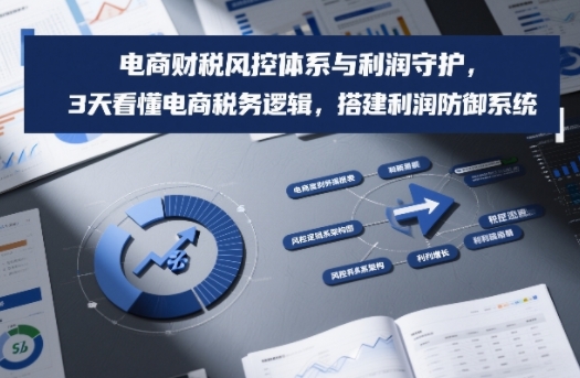 电商财税风控体系与利润守护，3天看懂电商税务逻辑，搭建利润防御系统-沧海聊项目