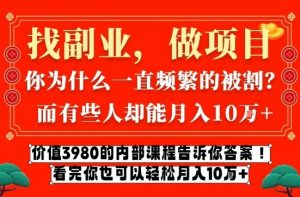 价值3980的网创内部课程，告诉你互联网创业月入10个W的秘密【揭秘】-沧海聊项目