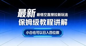 最新最悟空直搜拉新玩法保姆级教程讲解，小白也可以日入四位数-沧海聊项目