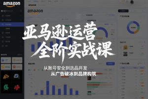 亚马逊运营全阶实战课，从账号安全到选品开发，从广告破冰到品牌构筑(更新2026)-沧海聊项目