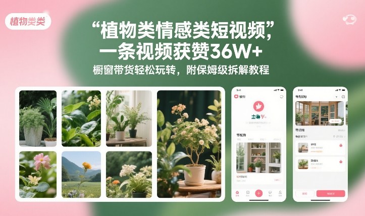 植物类情感类短视频，一条视频获赞36W+，橱窗带货轻松玩转，附保姆级拆解教程-沧海聊项目
